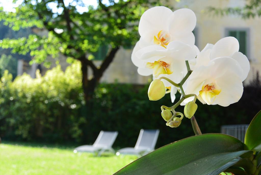 Hotel Palazzo Torriani Marradi Zewnętrze zdjęcie